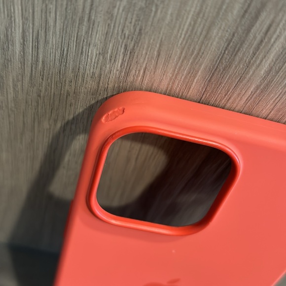 iPhone 13 Pro Max Apple Case - Picture 4 of 5